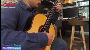 Bộ Dây Guitar Classic N Normal Tension Nylon Cho Cổ Điển - Duy Guitar Store - Phụ Kiện Đàn Guitar Cổ Điển Chất Lượng Cao