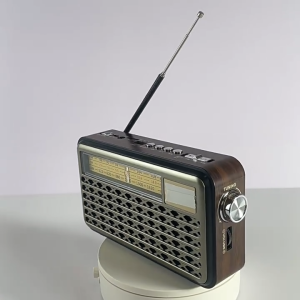Đài Radio Bluetooth YG22 3 Băng Tần FM/AM/SW Loa Nghe Nhạc USB Thẻ Nhớ Pin Sạc Type-C Đèn LED Anten Thu Sóng Tốt