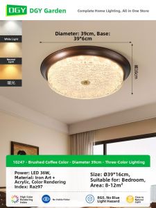 DGY | Elegant Round Antique Style Eyeprotection Ceiling Light