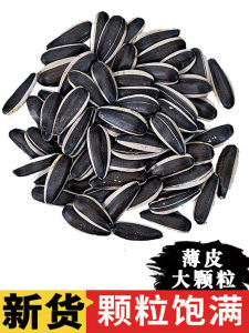  Roasted Original Flavor Thin Shell Sunflower Seeds Bulk Pack Nonpareil Large Kernels Snacks/Nuts/Local Specialties