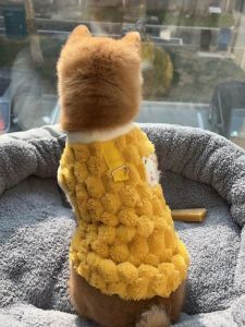 Thickened Fleece Warmth Sweatshirt Dog Clothes for Small Dogs like Yorkie Bichon Teddy Pomeranian Autumn Winter Pet Apparel