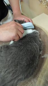 1Pcs Pet Hair Knot Comb Cat Specific Hair Removal Comb Stainless Steel Cleaning Brush Press The One Button To Remove Comb Hair
