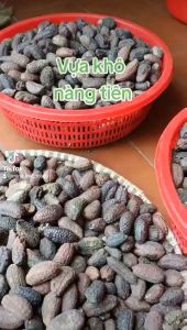 Chuối Hột Rừng Tây Nguyên Tráng Dương Bổ Khí- Vựa Khô Nàng Tiên