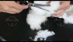Fur Scissors Pet Scissors 6 Inch Stainless Steel Fur Scissors Set of 5 Professional Dog Scissors Set Dog Care Scissors Cat Care Scissors Pet Hair Care Dogs and Cats