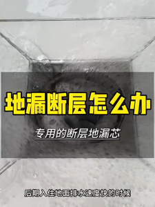 304 Stainless Steel Floor Drain Core Anti-odor Anti-insect Sewer Fast Drainage Extended floor drain core ABS magnetic floor drain core universal insect and odor resistant inner core toilet sewer odor and odor resistant floor drain core sealing cap