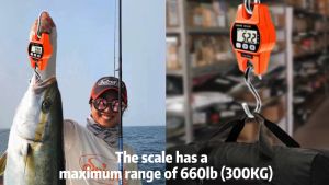 【Local Ship+COD】Mini Hanging Crane Scale heavy duty digital luggage scale spring scale hanging scale for pig crane scale digital 300kg Stainless steel Hook screw Hanging Weight Hanging Hook Scales Portable