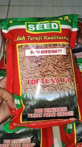 PROMO TERBATAS<<Benih padi HIBRIDA FORTUNA F1 kemasan 1kg - fortuna 1kg