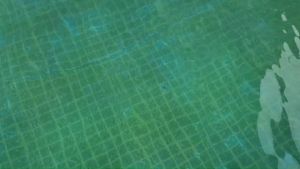 1 Kg Super Chlor Cá Heo - Chlorine 70% Khử Trùng Xử Lý Nước Sinh Hoạt