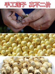 2025 Year Fresh Handmade Core Lotus Seeds Dry Goods 250/500g Farm Special Products Sulfur Free Guang Chang White Lotus Seeds with Heart