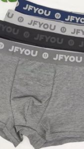 JFYOU Mens Underwear Briefs Tencel 4 pcs