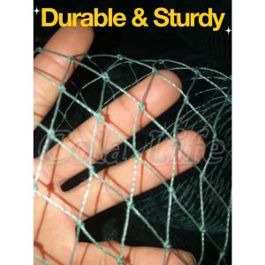 Hilton 30M/50M/100M Range Net Chicken Net Poultry Net Chicken Net Outdoor Lambat Poultry Net Ranging Net All Purpose Net