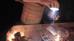 Đèn led treo lều đèn treo lều đèn cắm trại  Đèn treo dã ngoại cắm trại cực sáng tiện lợi nhẹ dễ mang theo