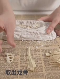 เล่นเด็กขุด DIY ชุดขุดฟอสซิล Dinosour Fossil ชุดขุดฟอสซิลไดโนเสาร์ ราคาสวยและเป็นไปได้ทันที