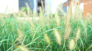 Filter Kamera Berkualitas Tinggi: K&F Concept MC NANO-X ND64 6 Stop 100x100MM