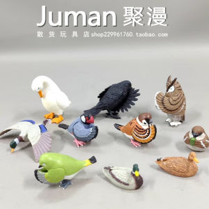 Đồ Chơi Mô Hình Động Vật Hoạt Hình Dễ Thương Lớp Học Về Chim Và Vịt Đồ Trang Trí Bàn Làm Việc Đồ Chơi Sưu Tập Đồ Chơi Sưu Tập