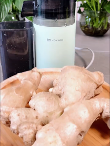 [READY STOCK] Mini Portable Juicer 97% Cold Press Slow Juicer Juice Extractor Fruit Blender