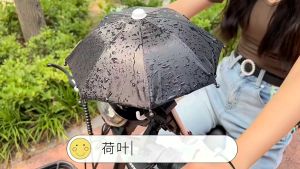 ที่วางโทรศัพท์มือถือ พร้อมล่ม แข็งแรง ติดตั้งง่าย ร่มบังแดด ป้องกัแดดกันฝน