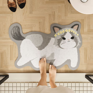 Water-Absorbent Anti-Slip Door Mat