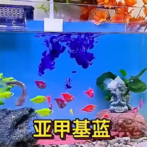 Methylene blue fish medicine 235ml 亚甲基蓝鱼药 aquatic fish sterilization and disinfection drugs treat rotting bodies tails and white spots水族鱼杀菌消毒药治烂身烂尾白点