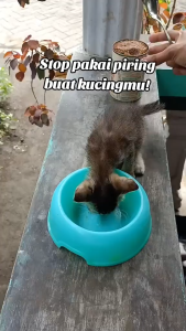 Pet Bowl / Tempat Makan Hewan Kucing Anjing Kelinci GPO