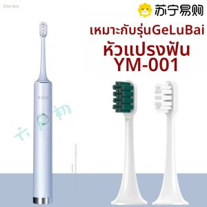 หัวแปรงสีฟันไฟฟ้า Lichu June หัวเปลี่ยนสำหรับ Yamei YM-001 ทำความสะอาดลึก ระดับความแข็งสำหรับผู้ใหญ่ ขนาดปกติ