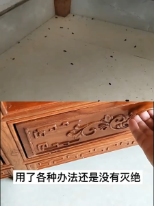 Powerful rat-repellent pills to deworm and prevent rats from being infected with rats