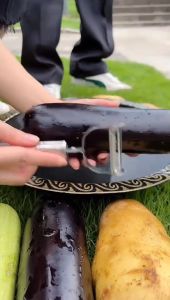 2 In 1 Peeler And Grater Stainless Steel Potato Cucumber Carrot Grater Fruit Peeler Double Planing Grater Kitchen Gadget