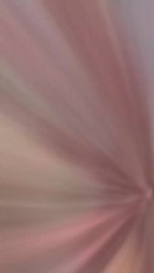 Blouse Batik Wanita Prabuseno Motif Saukia Atasan Baju Batik Wanita Lengan Panjang Prabuseno Modern Premium Jumbo Big Size Full Furing Pakaian Kemeja