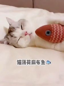 [SG SELLER] Cat Toy Catnip Fish Self-Hi Relieving Stuffy Linen Simulation Fish Kitten Molar Funny Cat Stick Bite Not Rotten Cat Toy