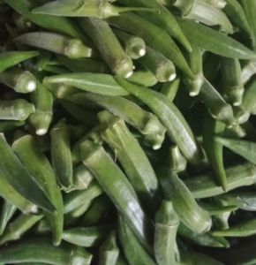 Sayur Okra Hijau Segar 1 kg