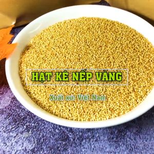 1KG Hạt Kê Nếp Vàng Nghệ An Giống Thuần Chủng Hạt Nhỏ (Đã tách vỏ) Dùng Nấu Bánh Chè Cháo Kê Nông Sản Hani Food
