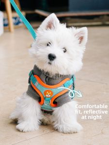 YCQPET | Reflective Dog Leash