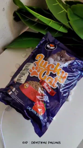 Lucky cat adult 1kg makanan kering kucing