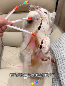 ไม้ล่อแมว ไม้ตกแมว รุ่นขนนก 2 ชั้น มีกระดิ่ง ไม้ยาว ของเล่นแมว ของเล่นล่อแมว เชือกล่อแมว ไม้แมว