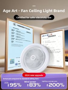 SUIYI | Hanging Light with Fan for Bedroom