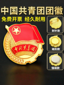 Feiyu | Official Magnetic 2023 New Style Chest Pin