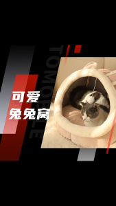 Cat Bed Warm for All Seasons Winter Dog Bed Universal Pet Bed Enclosed Cat Cave Washable Pet Nest