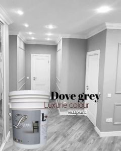 Cat Tembok Berkualitas LUXURIE wallpaint interior dan exterior 25kg " cream gold "