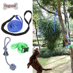 Adjustable Length Outdoor Bungee Squeaky Ball Toy for Dogs Pet Toys DogLemi Brand Dog Companionship Toy Elastic Rope Toy