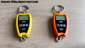 Digital Hanging Scale with Precision Sensor 200 kg Hanging Weight Scale for Fish Hunting Fishing Bicycles