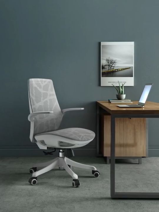 Sihoo M59B Mesh Ergonomic Office Chair / Computer Chair / Study Gaming