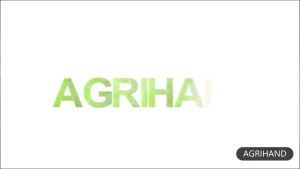 Shanjia Ant Termite Cockroach Bait Gel Powder | Home Garden Pest Killer Amazing Results Kills Entire Colony of Ants