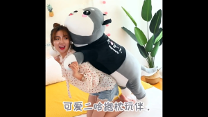 gấᴜ bông Mèo Alaska Siêu to khổng lồ 1m2 chó bông mặc áo size đại 1m3 gối ôm cho bé dài hình thú cute