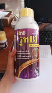 รูท B1 (เร่งราก)  สูตรเร่งราก ใช้ตอนกิ่ง ชำกิ่ง ใช้ฟื้นฟูต้นย้ายใหม่ ปลูกใหม่ ขยายรากใหม่ ตราหมึกดำ