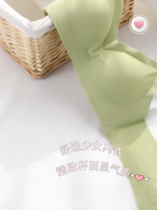 Seamless Thai Latex Bra Truly Push Up Ultra Comfort Lighter Than Usual Wireless 3D Cup