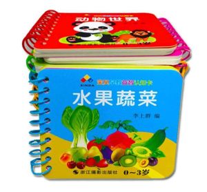 Letter Pinyin Literacy book and Child Early Education Learning Book Hard Cover