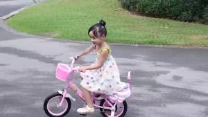 Xe Đạp Trẻ Em 85% Lắp Sẵn - Dễ Dàng Lắp Đặt Lốp Xe Bền Bỉ Yên Xe Thoải Mái Độ Cao Điều Chỉnh - Phù Hợp Cho Bé 2-8 Tuổi