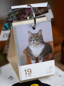 ปฏิทินโต๊ะหน้าต่างน่ารักสำหรับแมว ปฏิทินประจำวัน หน้าละหนึ่งวัน นับถอยหลัง เครื่องประดับตกแต่งโต๊ะหน้าต่าง ปี 2024 2026 ผลิตจากจีนแผ่นดินใหญ่