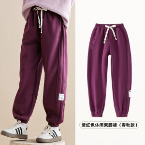 ชุดกีฬาฤดูใบไม้ผลิสำหรับเด็กผู้หญิง ชุดลำลอง เสื้อสเวตเตอร์แฟชั่น เสื้อผ้าเด็ก ชุดสองชิ้น ผ้าฝ้าย ฤดูใบไม้ร่วง/ฤดูหนาว