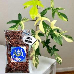 Andam Organik media Tanam Premium 500 gr